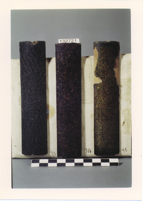 CAMPIONE PER FODERO DI SPADA