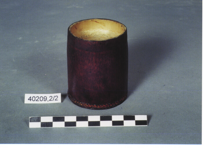 COPERCHIO - KACHIN CAURI