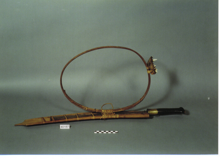 DAGA CON FODERO - KACHIN