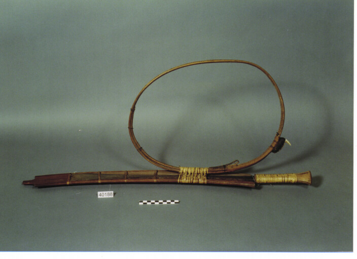 DAGA CON FODERO - KACHIN