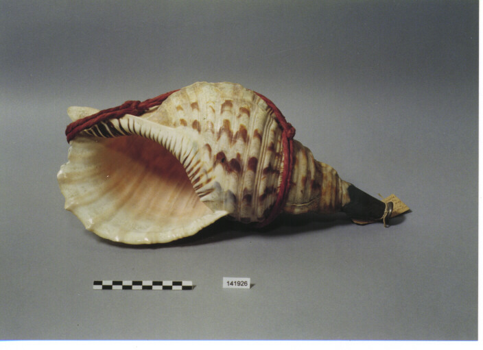 STRUMENTO MUSICALE AEROFONO