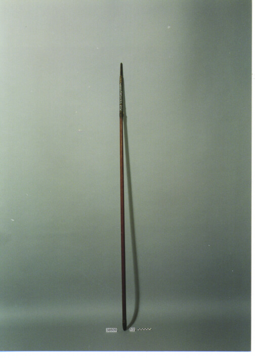 LANCIA CON FODERO COPRIPUNTA