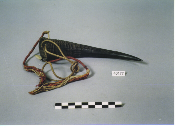 CONTENITORE - KACHIN