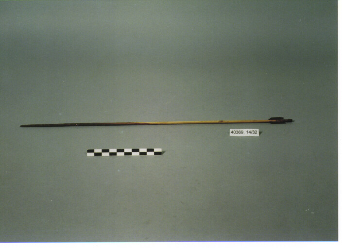 FRECCIA - CARIN GHECCU'