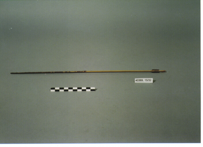 FRECCIA - CARIN GHECCU'