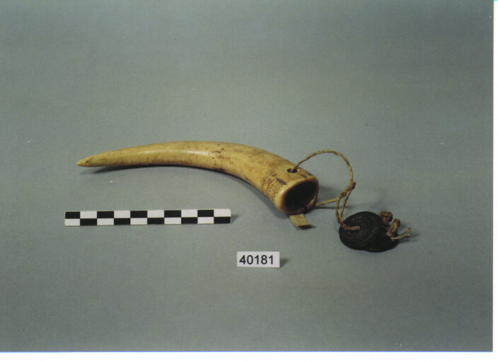 CONTENITORE - KACHIN CAURI