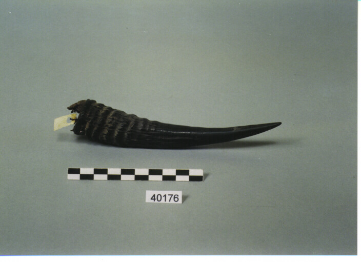 CONTENITORE - KACHIN