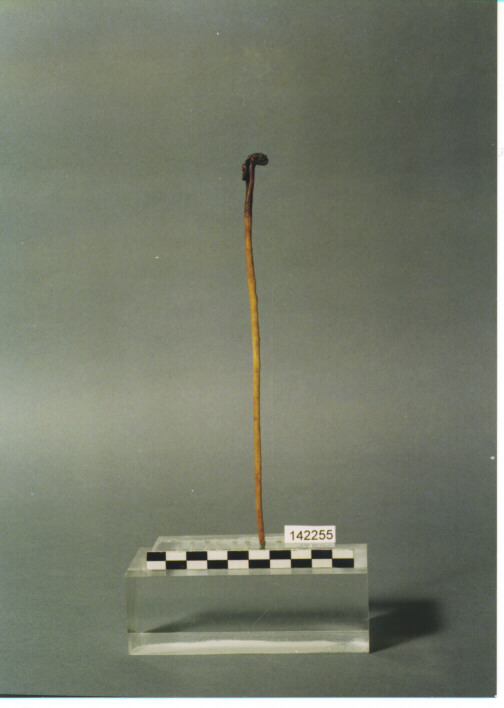 Class Acconciature : Williams Tagli Courte Acconciature Courts Zapisano