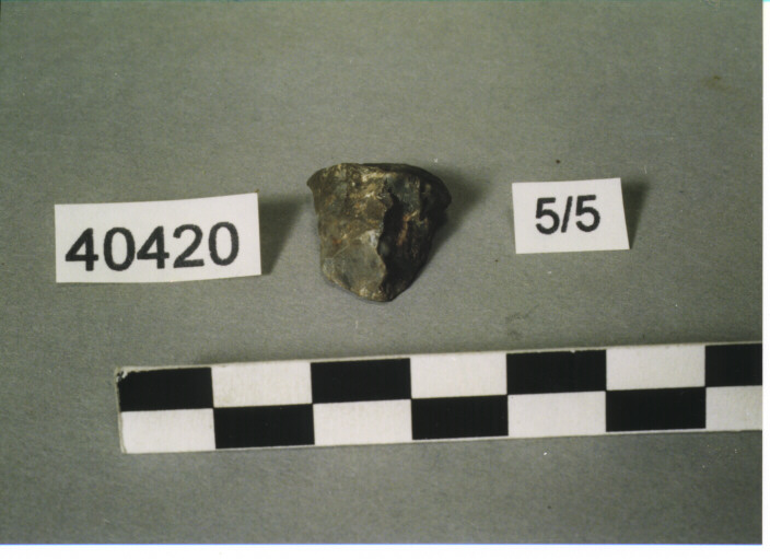 PIETRA FOCAIA - CARIN SUCCU'