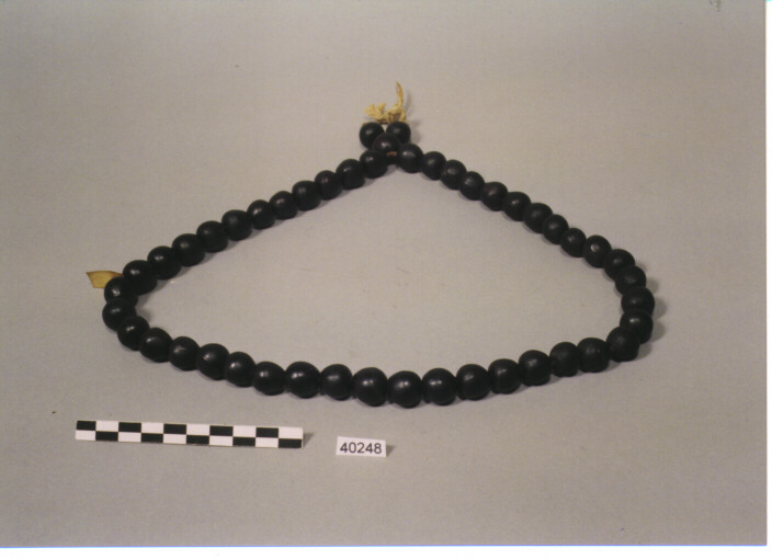 COLLANA - KACHIN CAURI