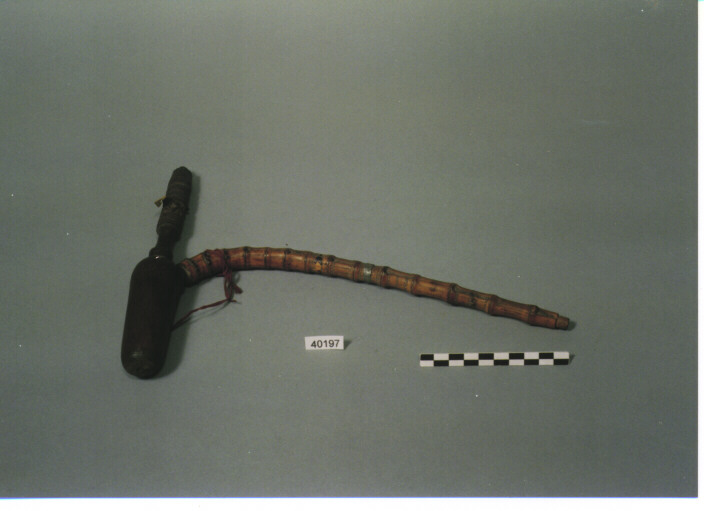 PIPA - CAURI CIMPO' (KACHIN CAURI)