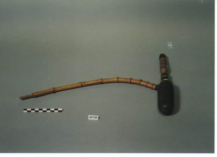 PIPA - CAURI CIMPO' (KACHIN CAURI)
