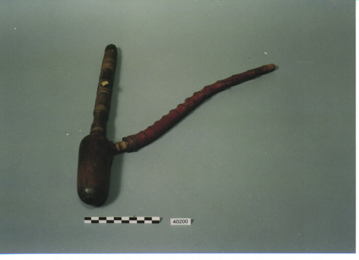 PIPA - CAURI CIMPO' (KACHIN CAURI)