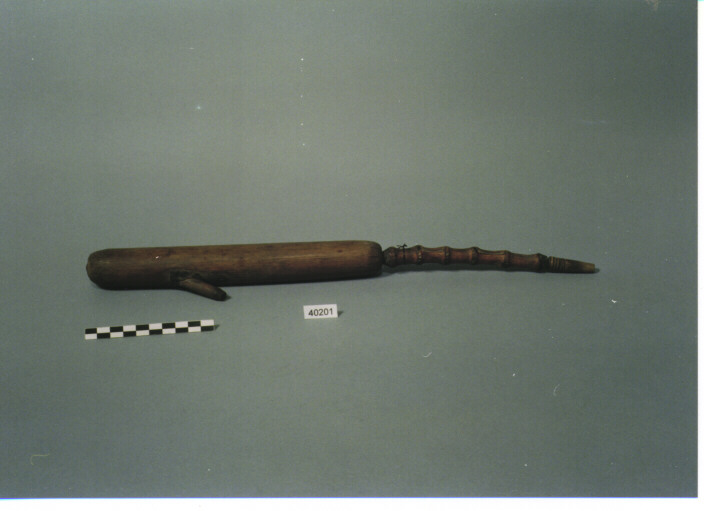 PIPA - CAURI CIMPO' (KACHIN CAURI)