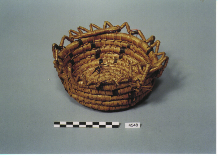 CESTO - DRUSI DEL LIBANO