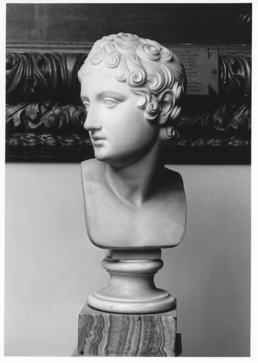 testa di giovane (scultura, opera isolata) di Festa Adelaide Felice Fortunata (prima metà sec. XIX)