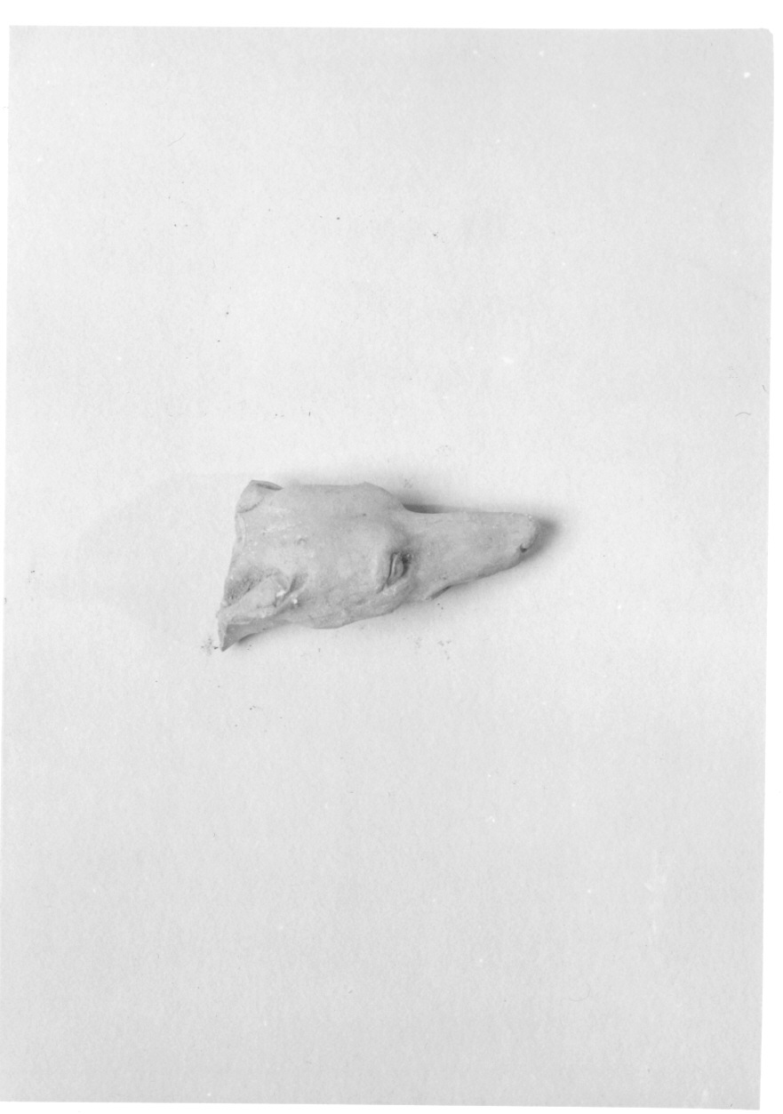testa di levriero (scultura, frammento) di Cacciatori Benedetto (cerchia) (secondo quarto sec. XIX)