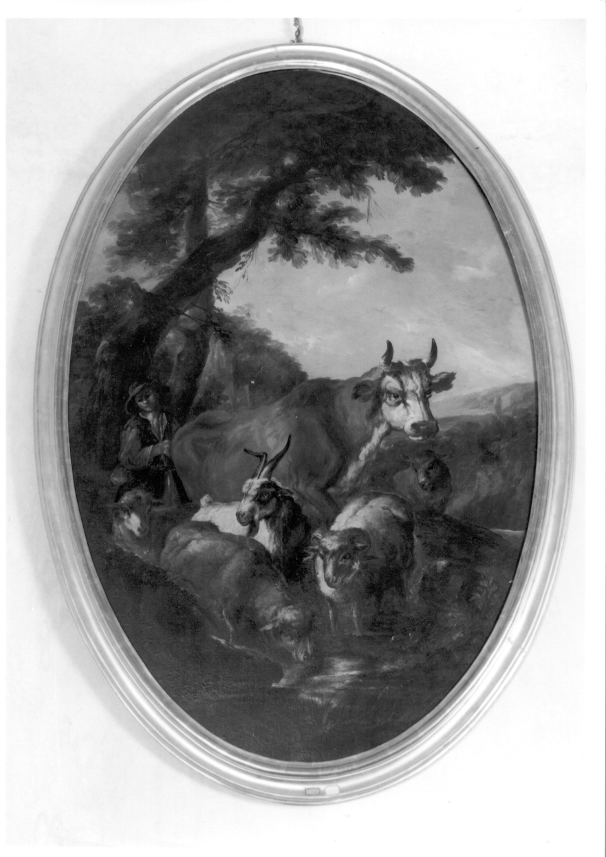 pastore al pascolo con animali (dipinto, opera isolata) - ambito piemontese (metà sec. XVIII)