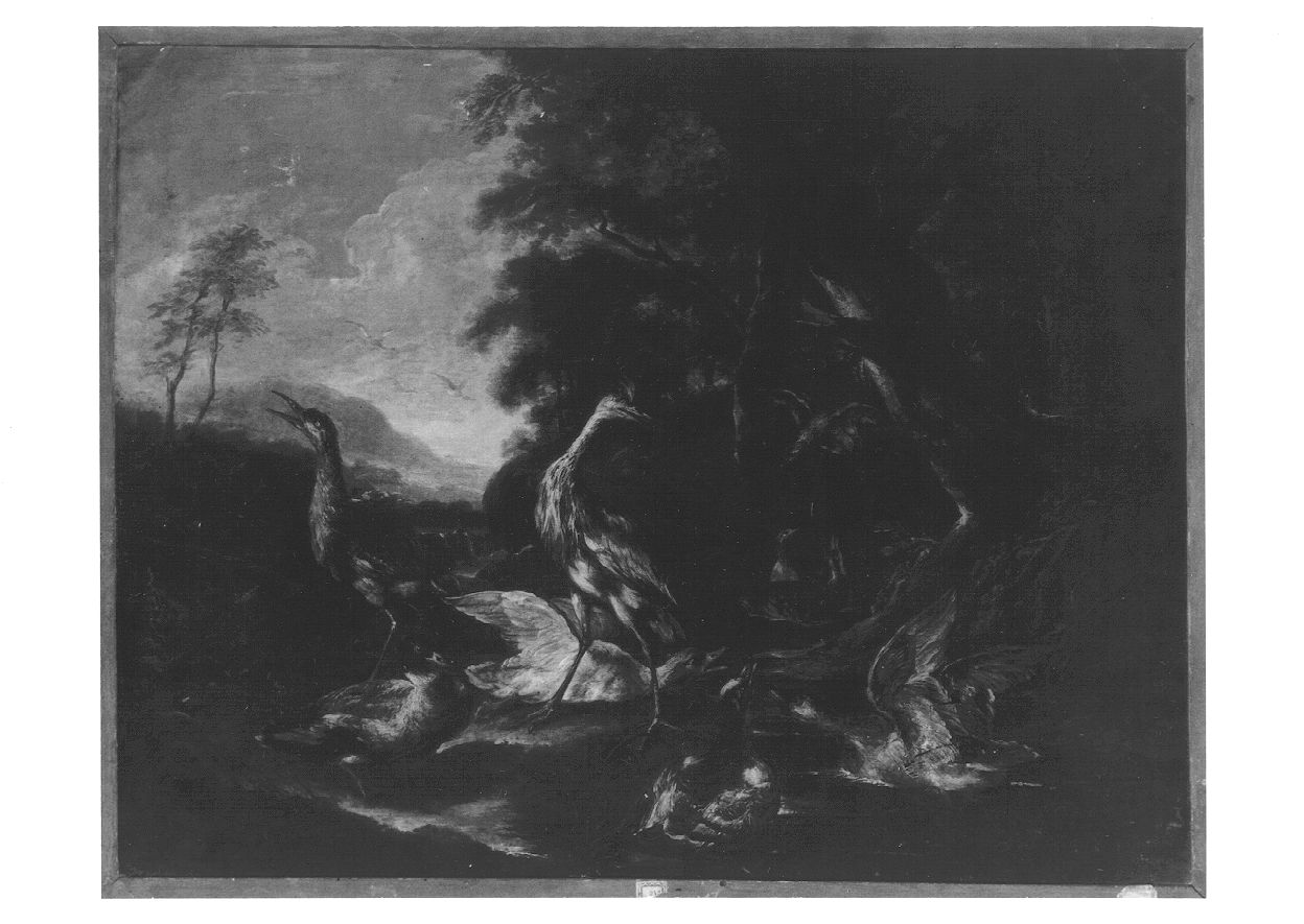 paesaggio con uccelli (dipinto, opera isolata) di Crivelli Angelo Maria detto Crivellone (attribuito) (primo quarto sec. XVIII)