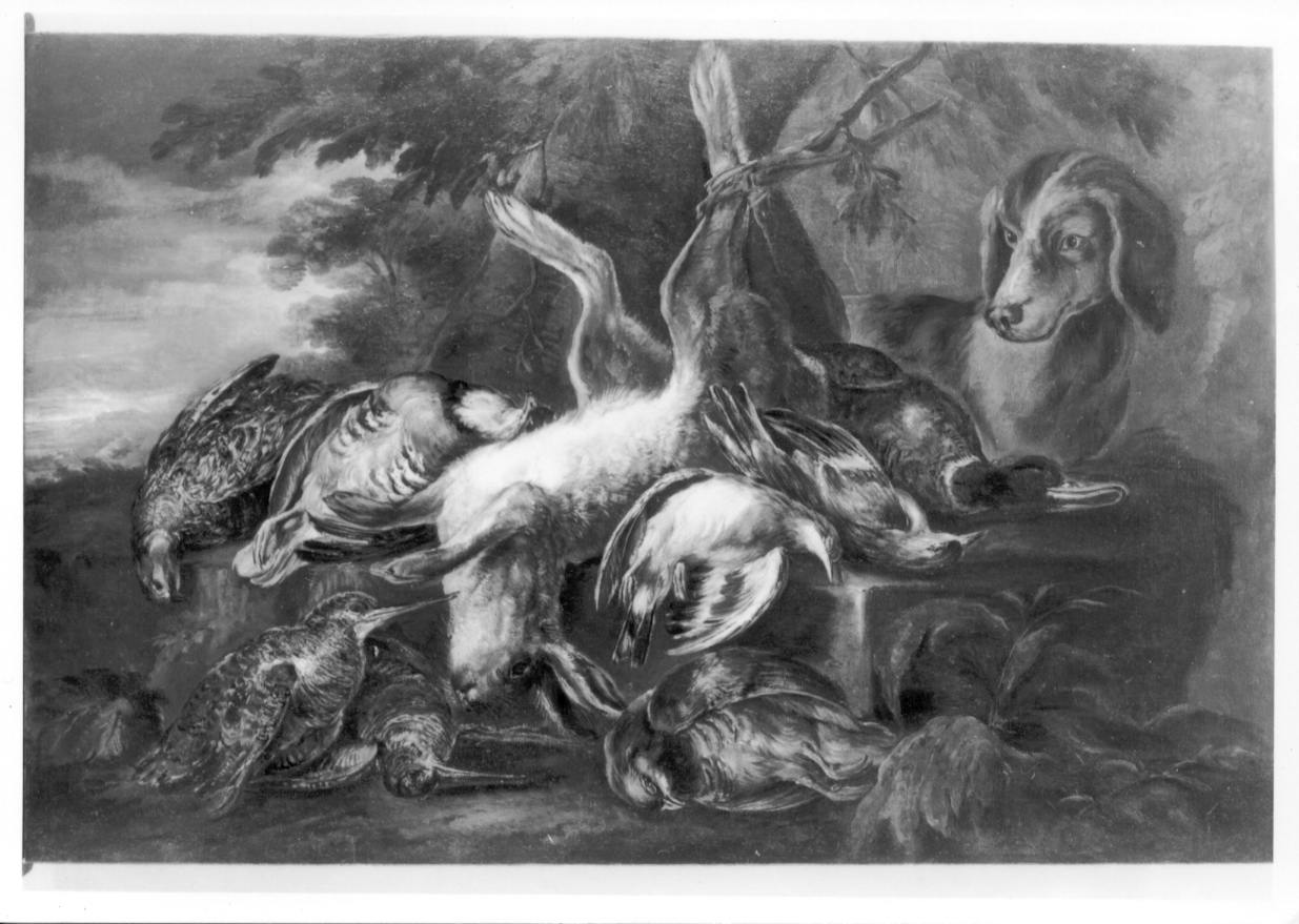 cane e selvaggina (dipinto, opera isolata) di Crivelli Giovanni detto Crivellino (secondo quarto sec. XVIII)