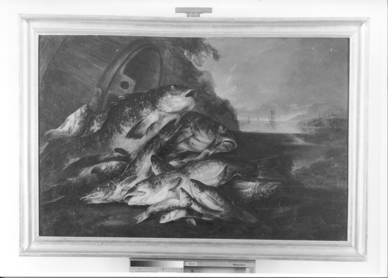 natura morta con pesci (dipinto, opera isolata) di Crivelli Giovanni detto Crivellino (secondo quarto sec. XVIII)