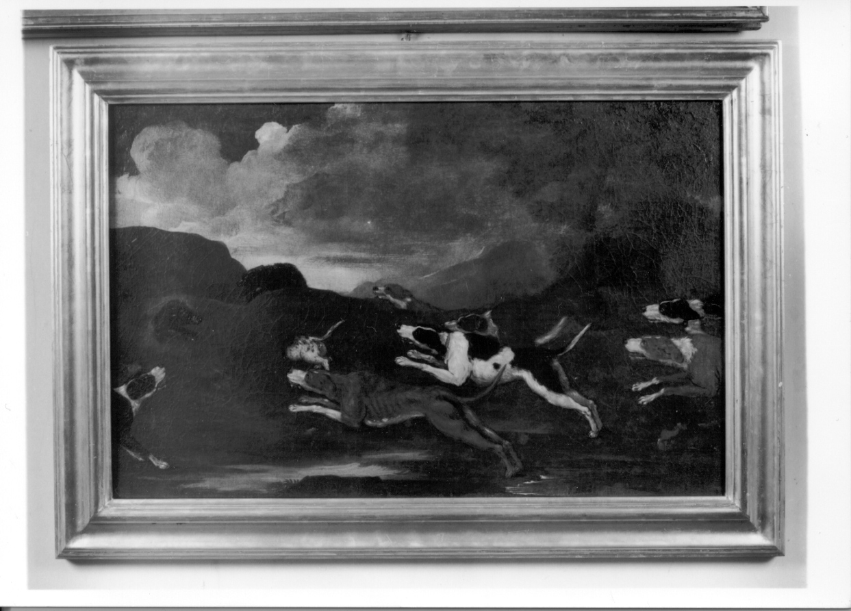 caccia alla volpe (dipinto, opera isolata) - ambito piemontese (metà sec. XVII)