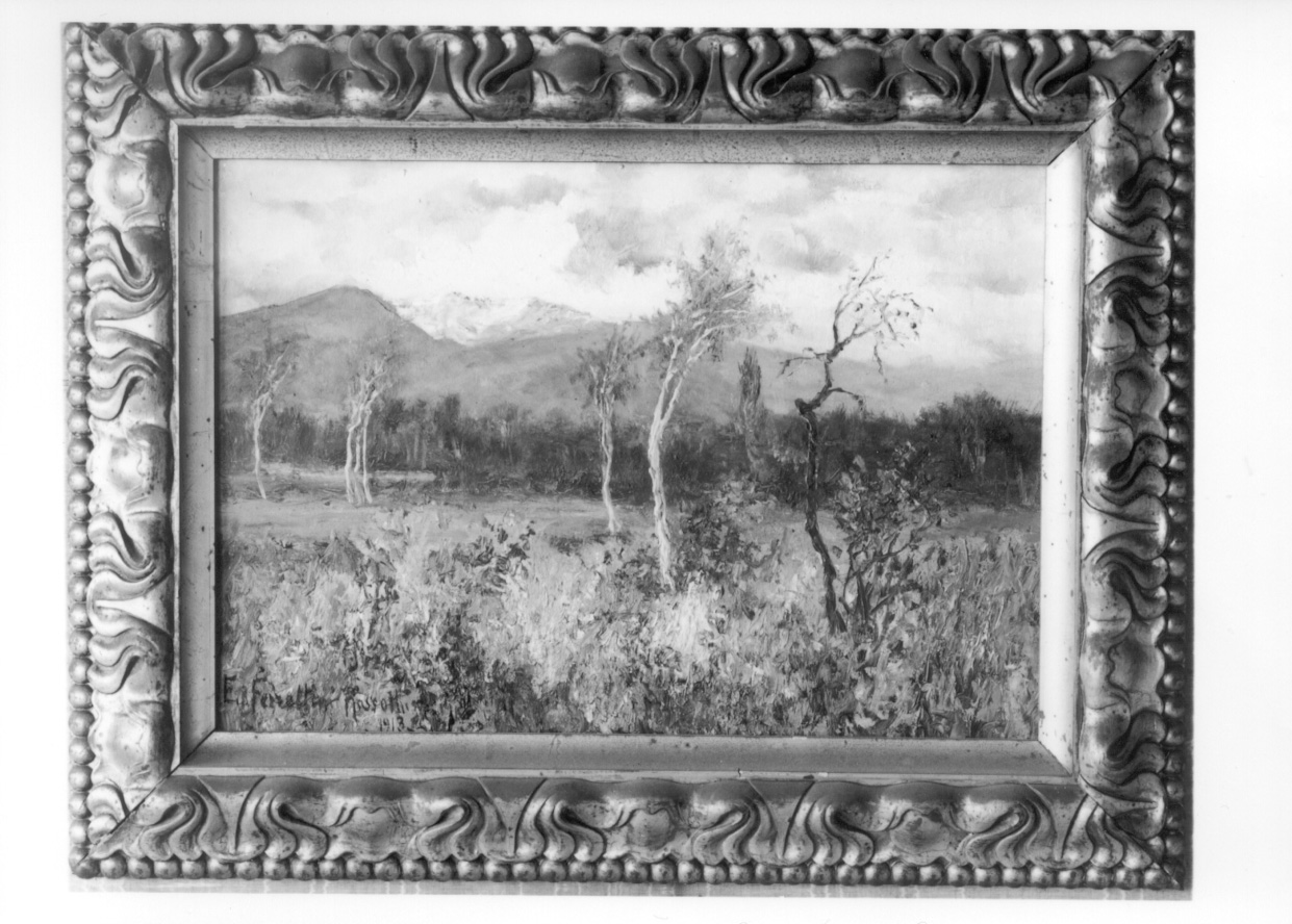 paesaggio con alberi (dipinto, opera isolata) di Ferrettini Rossotti Emilia (primo quarto sec. XX)