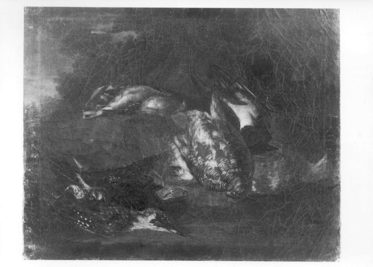 natura morta con cacciagione (dipinto, opera isolata) di Crivelli Giovanni detto Crivellino (secondo quarto sec. XVIII)