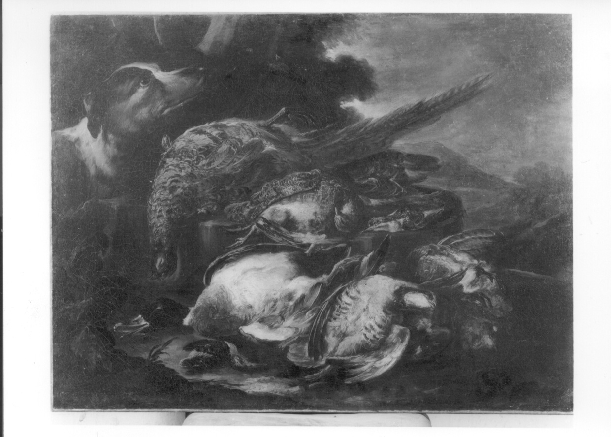 cane e cacciagione (dipinto, opera isolata) di Crivelli Giovanni detto Crivellino (secondo quarto sec. XVIII)