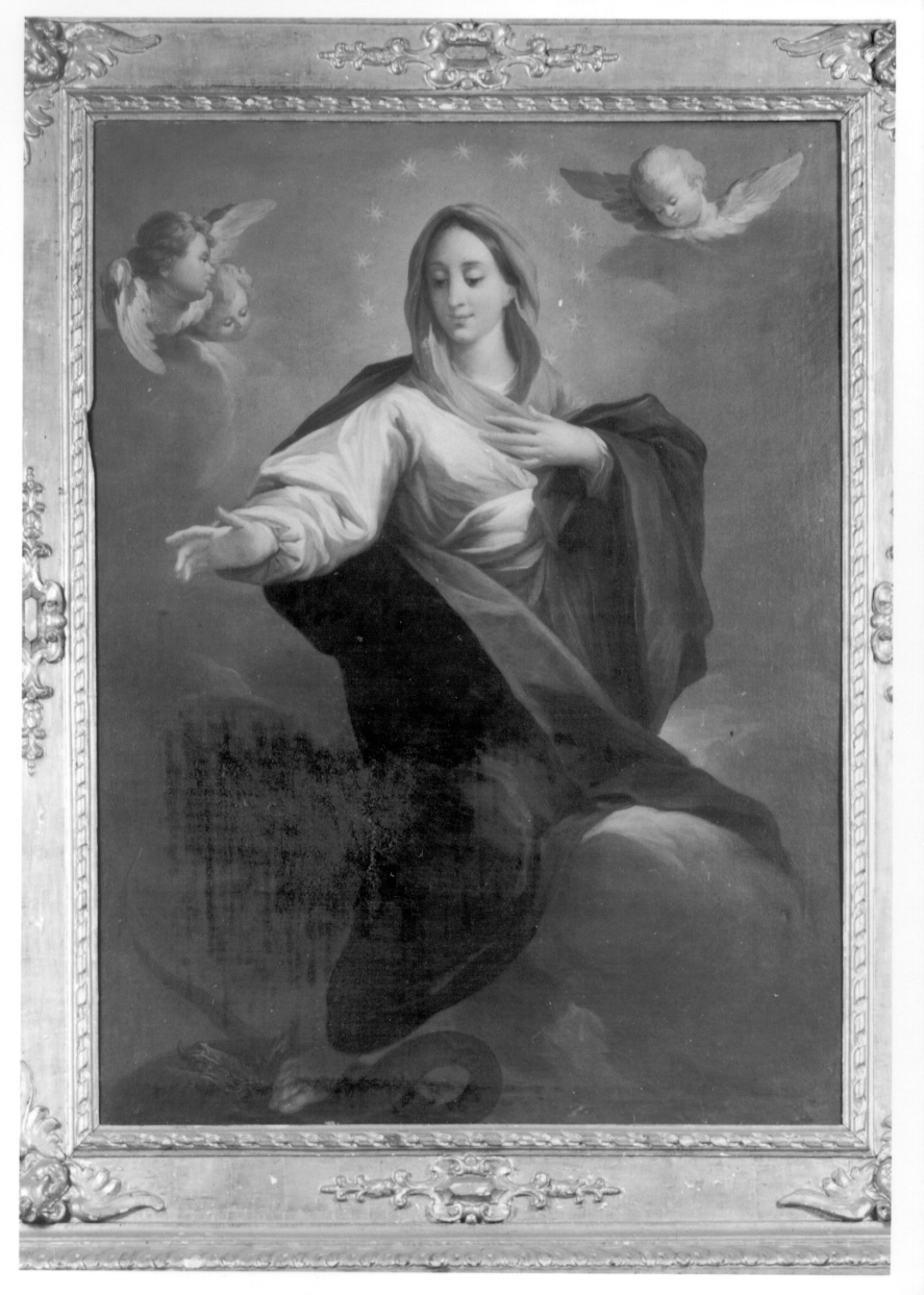 Immacolata Concezione (dipinto, opera isolata) - ambito piemontese (secondo quarto sec. XIX)