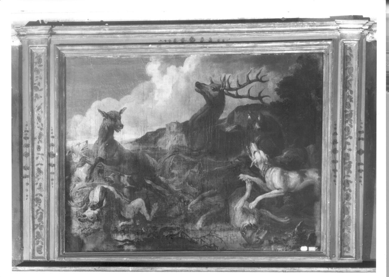 cervi assaliti da cani da caccia (sovrapporta, opera isolata) - ambito italiano (secondo quarto sec. XVIII)