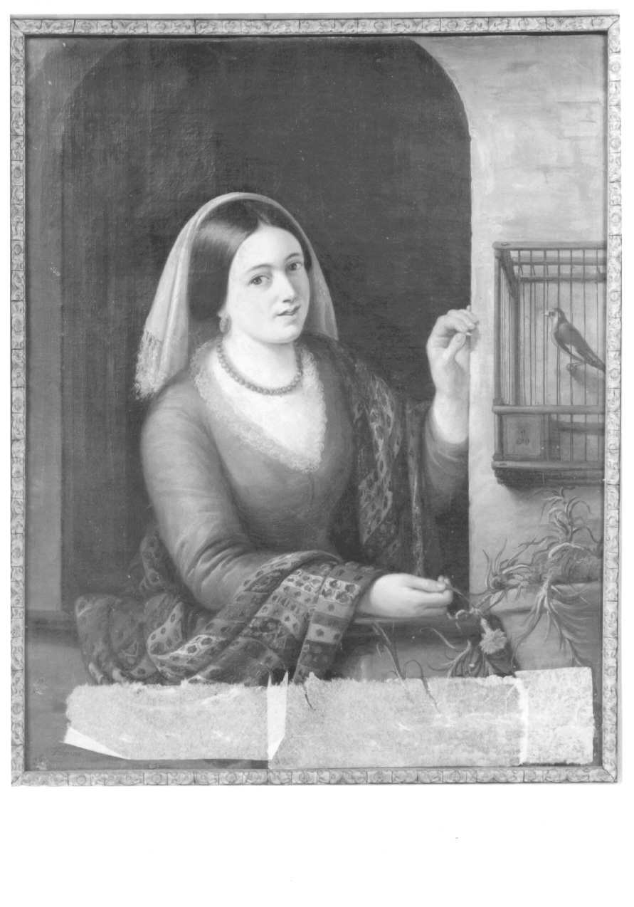 L'INNOCENTE AFFEZIONE, giovane donna con uccello in gabbia (dipinto, opera isolata) di Cogorno Francesco (terzo quarto sec. XIX)