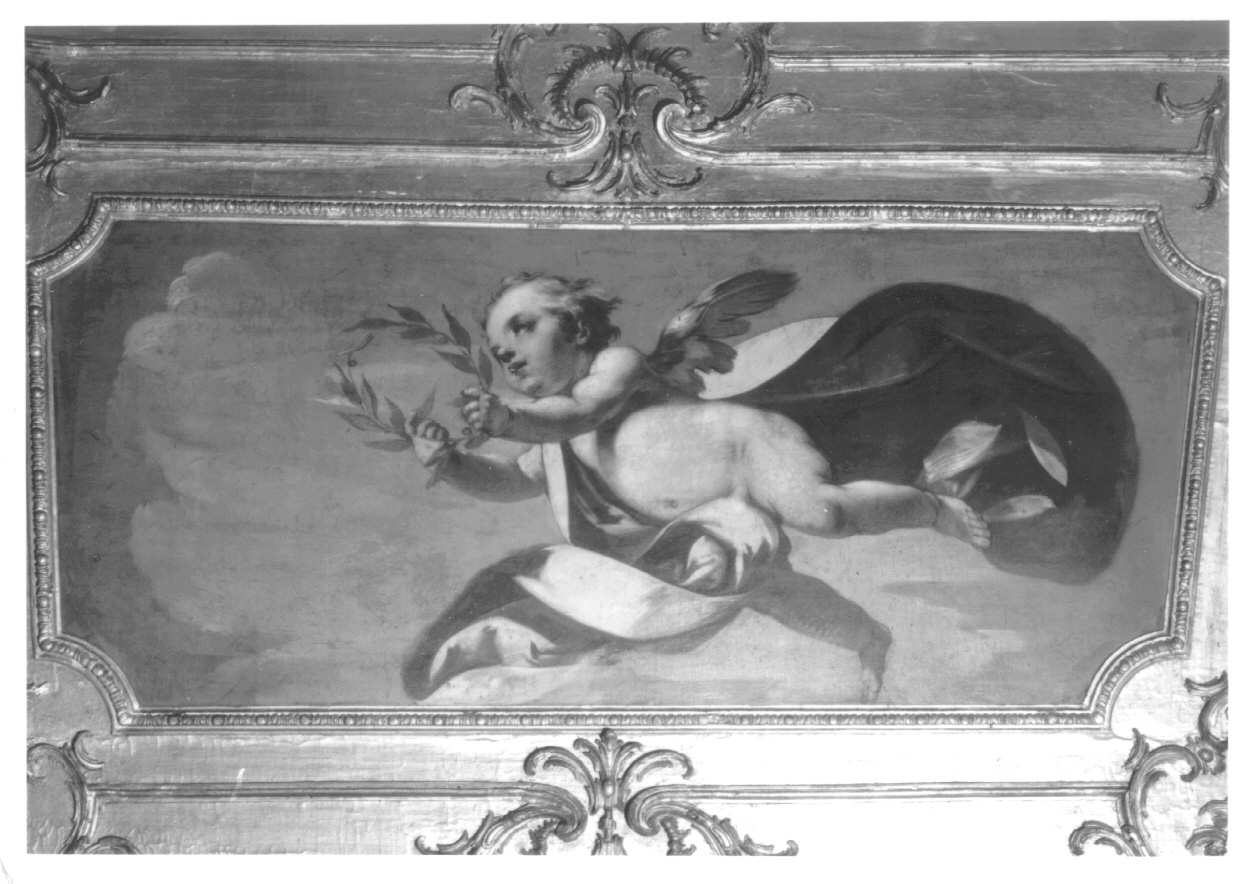 putto alato (dipinto, opera isolata) di Beaumont Claudio Francesco (primo quarto sec. XVIII)