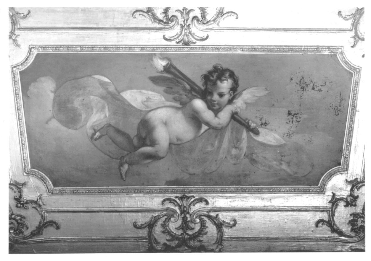 putto alato (dipinto, opera isolata) di Beaumont Claudio Francesco (primo quarto sec. XVIII)