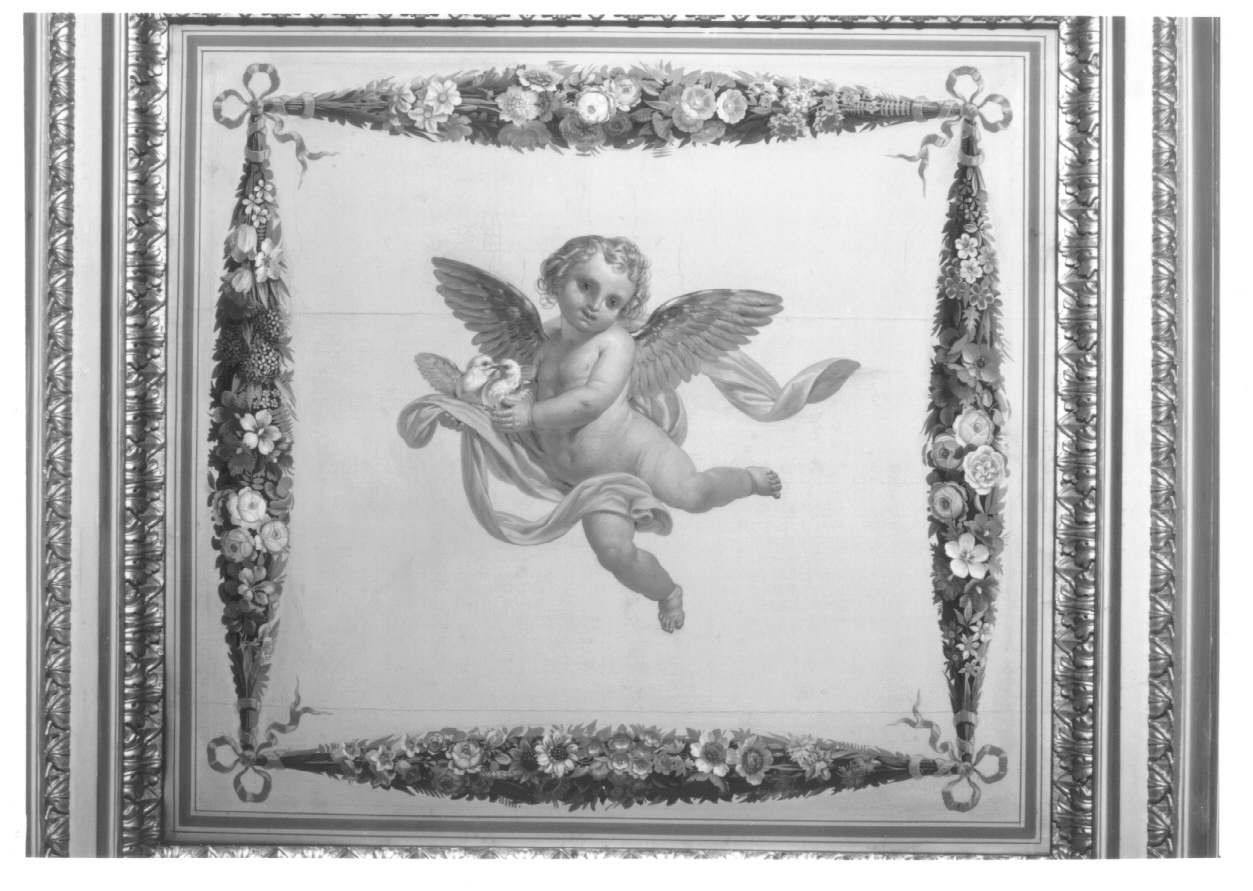 putto alato (dipinto, elemento d'insieme) di Airaghi Giovanni Battista (secondo quarto sec. XIX)