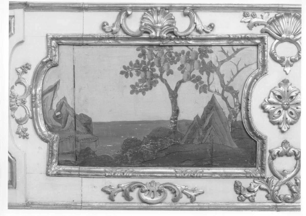 motivi decorativi vegetali (dipinto, elemento d'insieme) di Alfieri Benedetto, Massa Pietro (metà sec. XVIII)