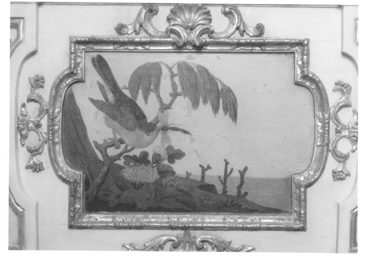 motivi decorativi vegetali con uccelli (dipinto, elemento d'insieme) di Alfieri Benedetto, Massa Pietro (metà sec. XVIII)