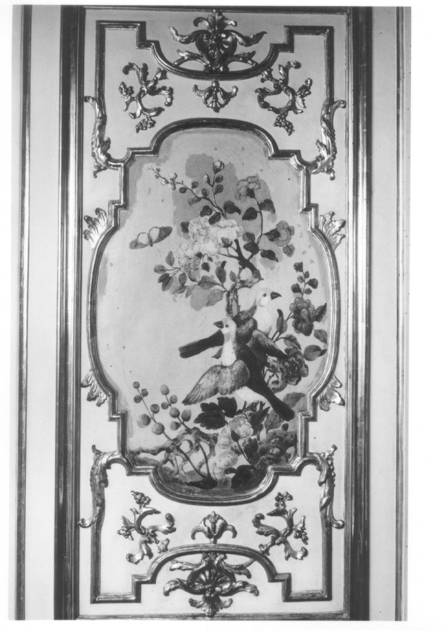 motivi decorativi vegetali con uccelli (dipinto, elemento d'insieme) di Alfieri Benedetto, Massa Pietro (metà sec. XVIII)