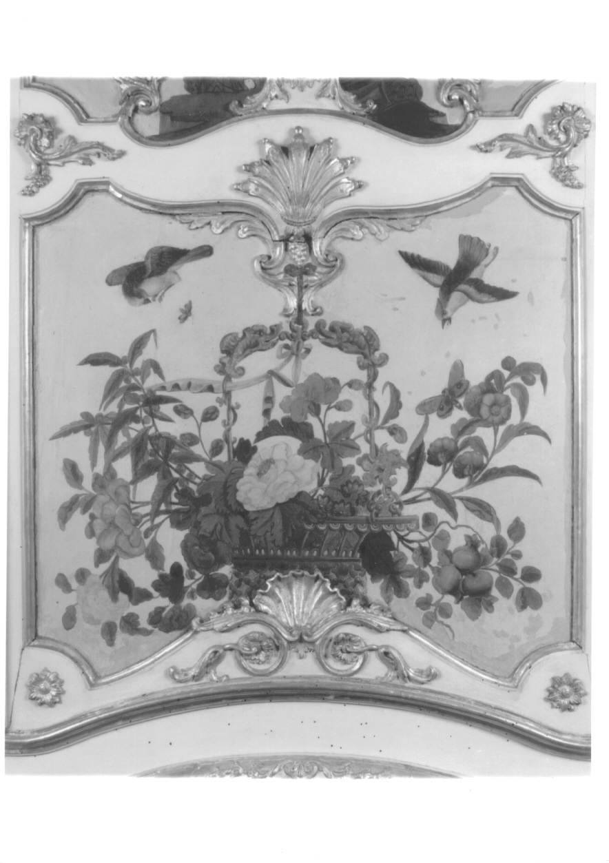 motivi decorativi vegetali con uccelli (dipinto, elemento d'insieme) di Alfieri Benedetto, Massa Pietro (metà sec. XVIII)