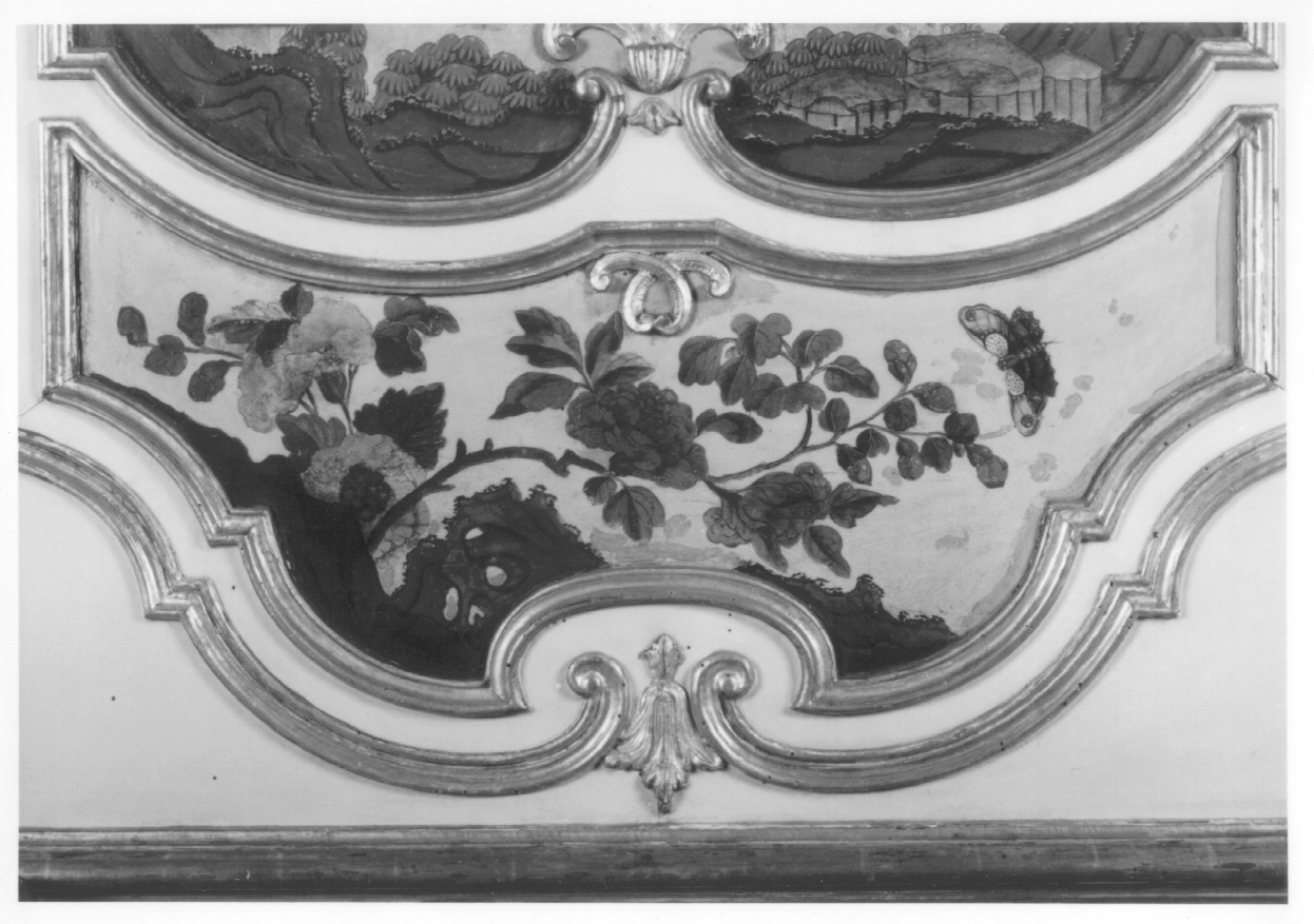 motivi decorativi vegetali (dipinto, elemento d'insieme) di Alfieri Benedetto, Massa Pietro (metà sec. XVIII)