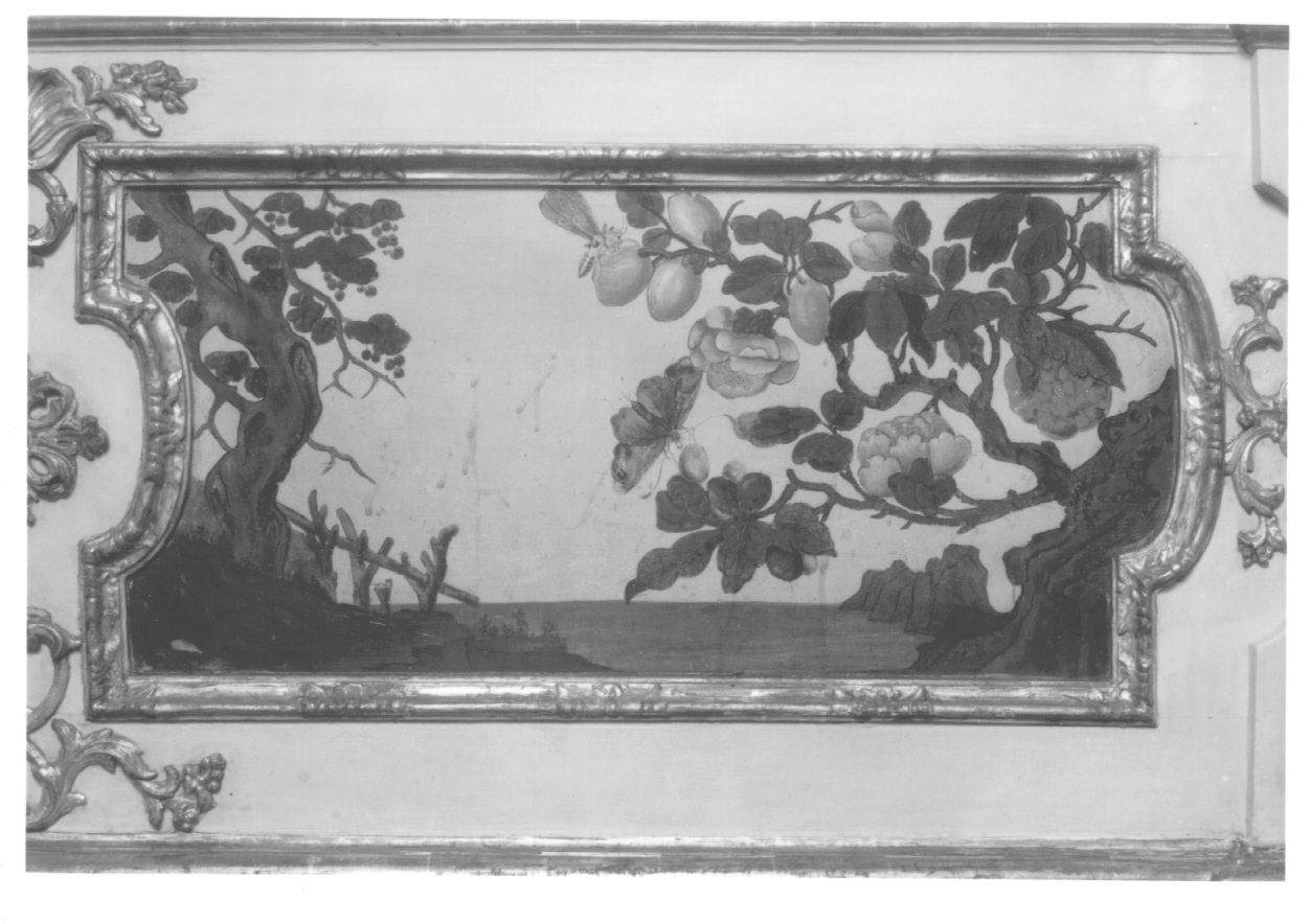 motivi decorativi vegetali e animali (dipinto, elemento d'insieme) di Alfieri Benedetto, Massa Pietro (metà sec. XVIII)