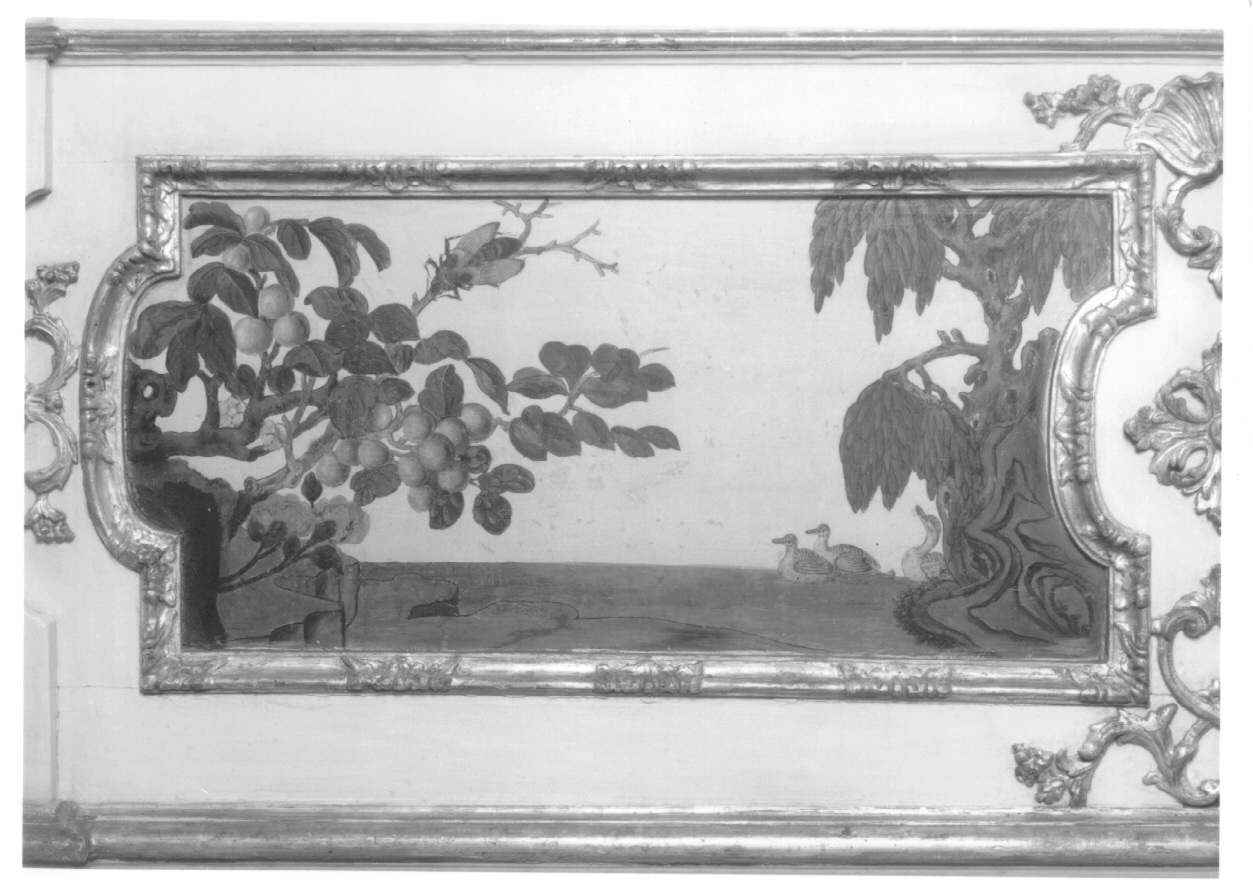 motivi decorativi vegetali e animali (dipinto, elemento d'insieme) di Alfieri Benedetto, Massa Pietro (metà sec. XVIII)
