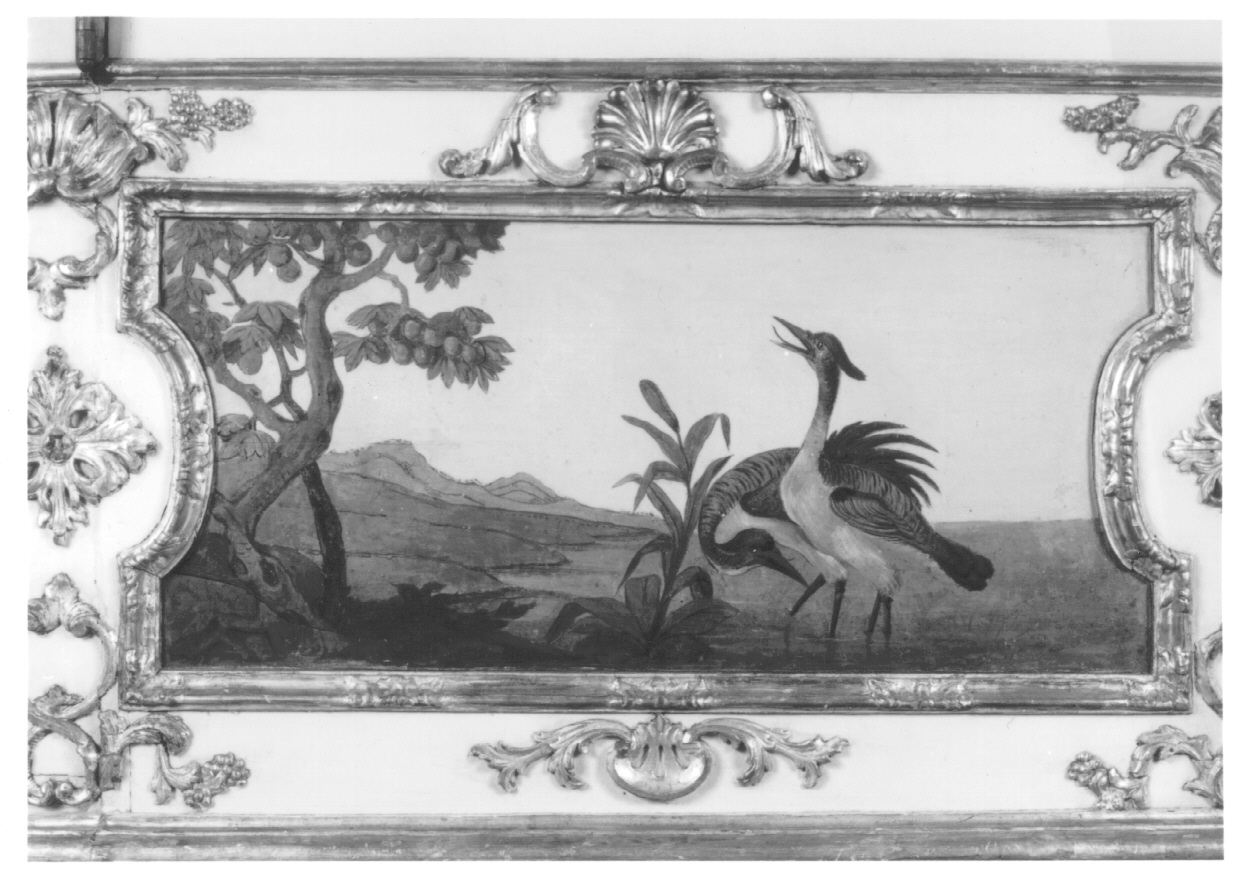 motivi decorativi vegetali con uccelli (dipinto, elemento d'insieme) di Alfieri Benedetto, Massa Pietro (metà sec. XVIII)
