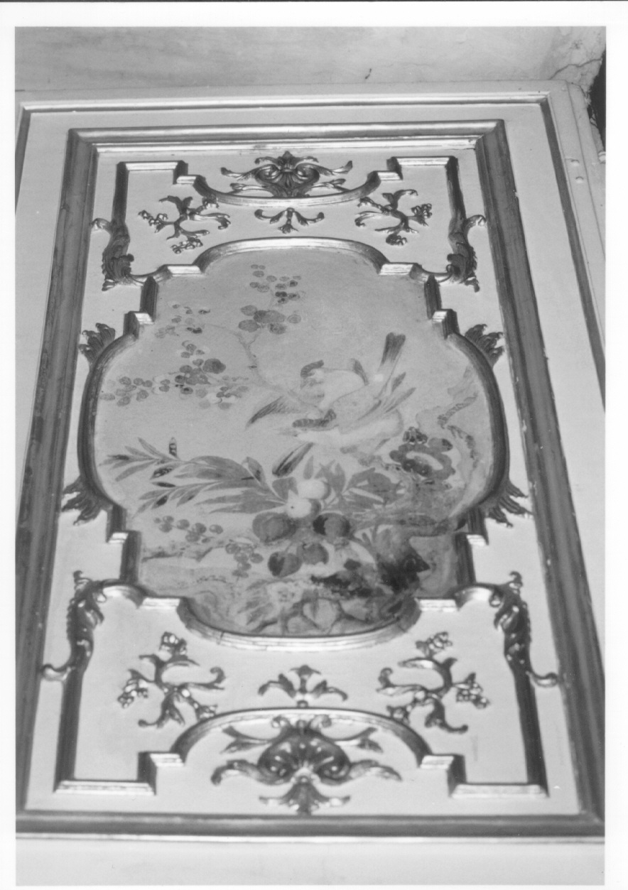 motivi decorativi vegetali con uccelli (dipinto, elemento d'insieme) di Alfieri Benedetto, Massa Pietro (metà sec. XVIII)