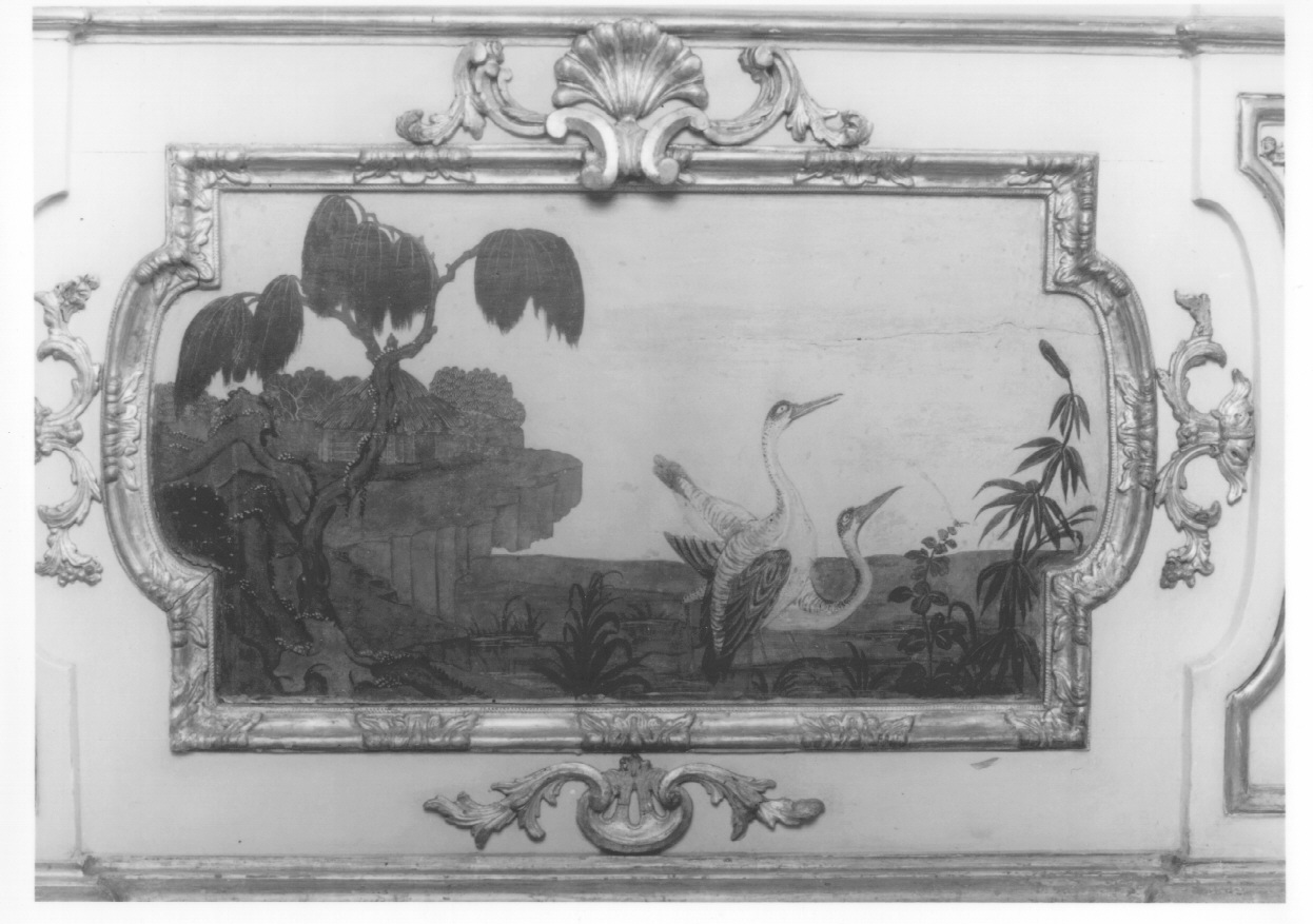 motivi decorativi vegetali con uccelli (dipinto, elemento d'insieme) di Alfieri Benedetto, Massa Pietro (metà sec. XVIII)