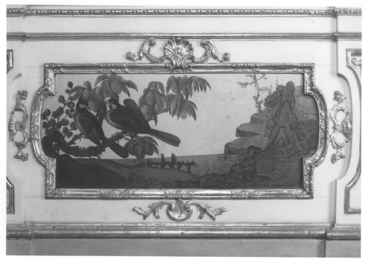 motivi decorativi vegetali con uccelli (dipinto, elemento d'insieme) di Alfieri Benedetto, Massa Pietro (metà sec. XVIII)