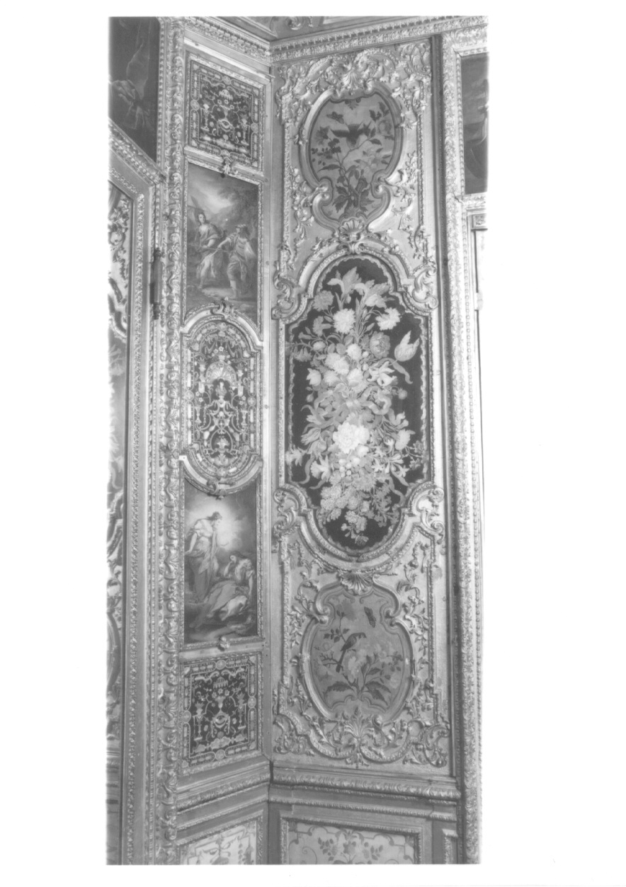 motivi decorativi vegetali e animali (boiserie, complesso decorativo) di Juvarra Filippo, Alfieri Benedetto, Neurone Cesare Giuseppe, Crotti Michele, Kenello Antonio, Riva Amedeo, Bianco Salvatore, Morsino Giuseppe, Ballarino Michele, Bononcelli Lorenzo, Massa Pietro (fine/inizio, secondo quarto secc. XVII/ XVIII, sec. XVIII)