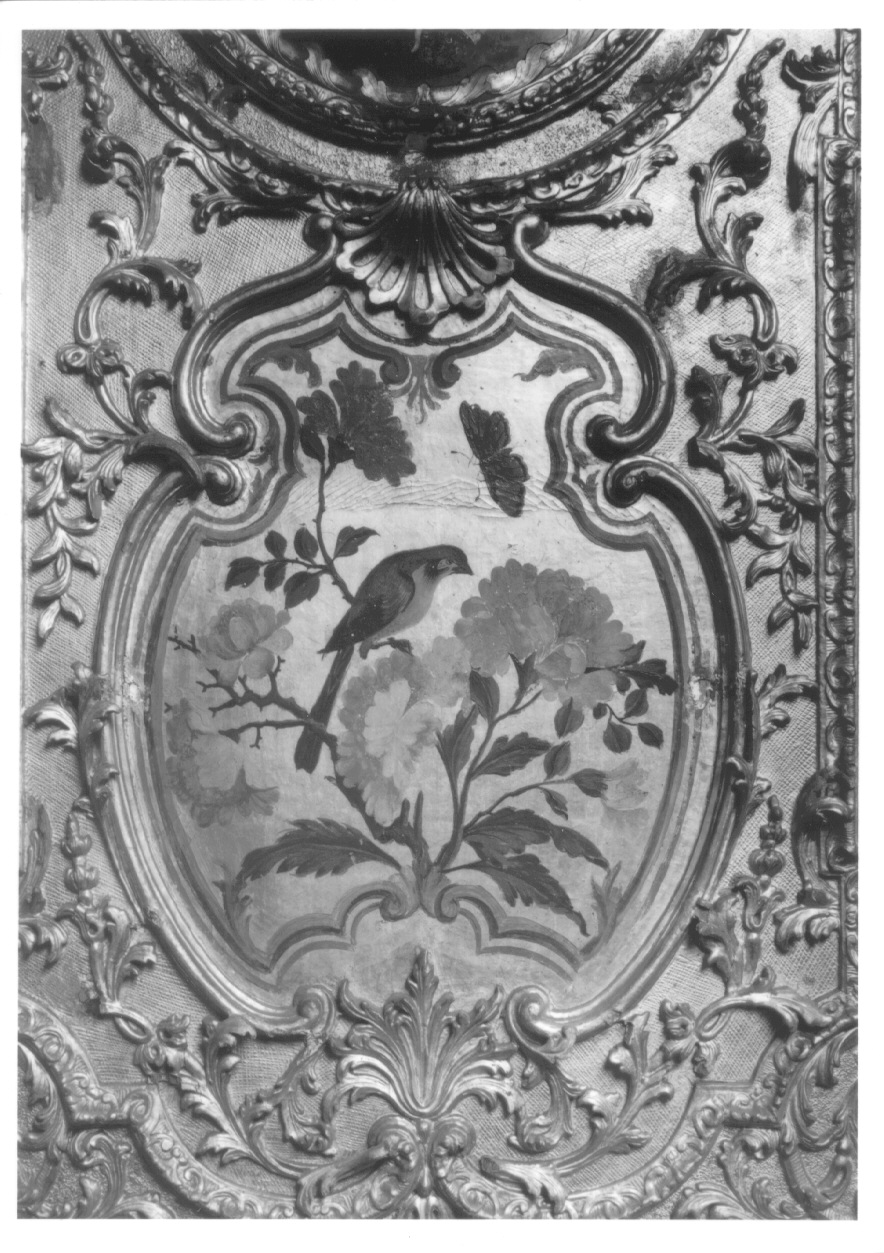 motivi decorativi vegetali e animali (dipinto, elemento d'insieme) di Juvarra Filippo, Alfieri Benedetto, Neurone Cesare Giuseppe, Crotti Michele, Kenello Antonio, Riva Amedeo, Bianco Salvatore, Morsino Giuseppe, Ballarino Michele, Bononcelli Lorenzo (fine/inizio, secondo quarto secc. XVII/ XVIII, sec. XVIII)