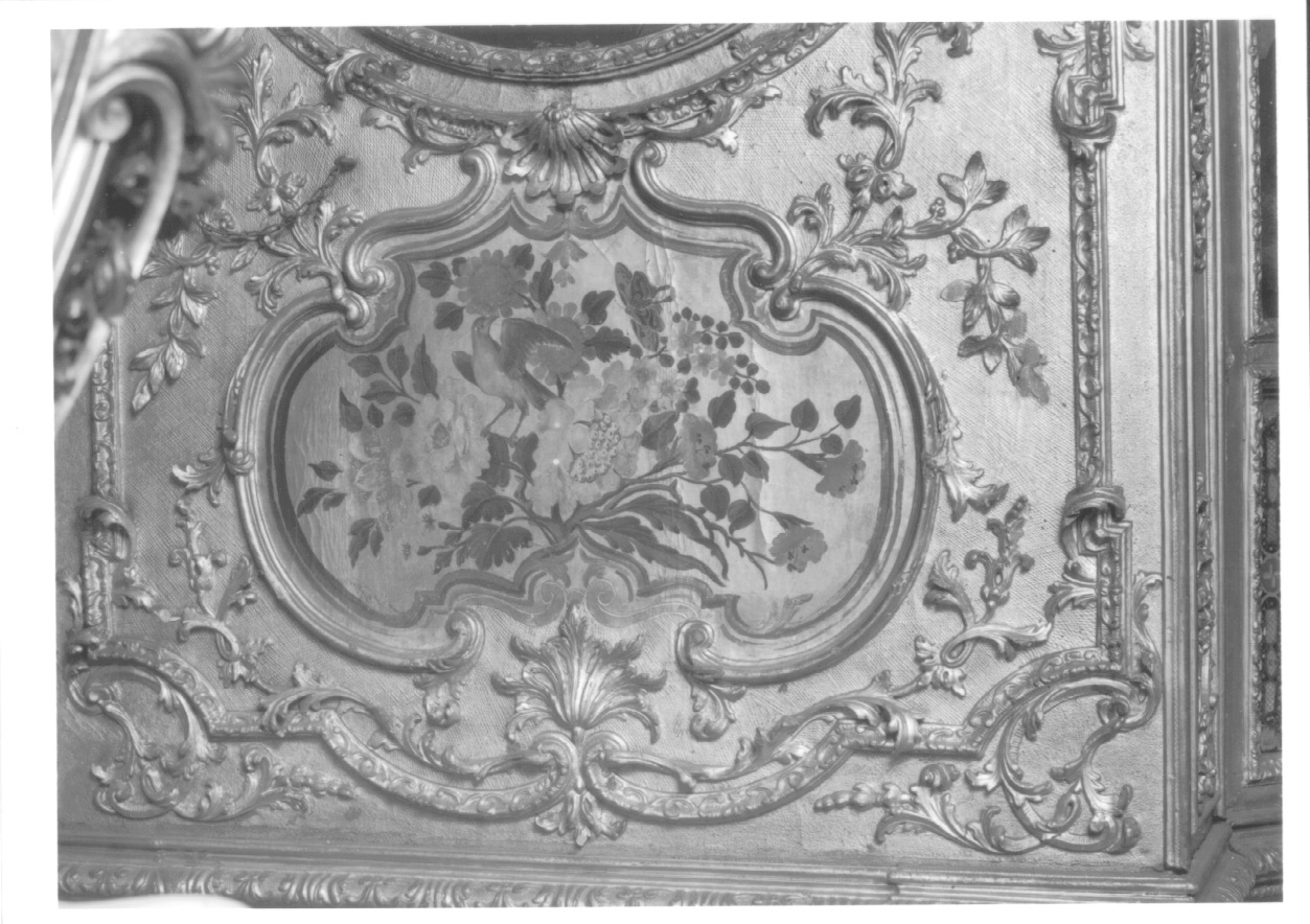 motivi decorativi vegetali e animali (dipinto, elemento d'insieme) di Juvarra Filippo, Alfieri Benedetto, Neurone Cesare Giuseppe, Crotti Michele, Kenello Antonio, Riva Amedeo, Bianco Salvatore, Morsino Giuseppe, Ballarino Michele, Bononcelli Lorenzo (fine/inizio, secondo quarto secc. XVII/ XVIII, sec. XVIII)