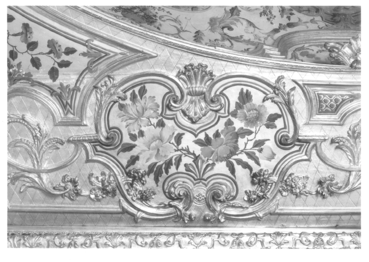 motivi decorativi vegetali e animali (dipinto, elemento d'insieme) di Morsino Giuseppe, Ballarino Michele, Bononcelli Lorenzo, Juvarra Filippo, Alfieri Benedetto, Neurone Cesare Giuseppe, Crotti Michele, Kenello Antonio, Riva Amedeo, Bianco Salvatore (fine/inizio, secondo quarto secc. XVII/ XVIII, sec. XVIII)